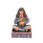 Harry Potter Hermione Brilliant and Confident 10 cm, Ophalen of Verzenden