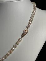 Halsketting - 14 karaat Geel goud Parel - Akoya parel 5,5–6, Handtassen en Accessoires, Kettingen, Nieuw