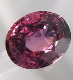 Roze Saffier  - 3.71 ct - Masterstones, Nieuw