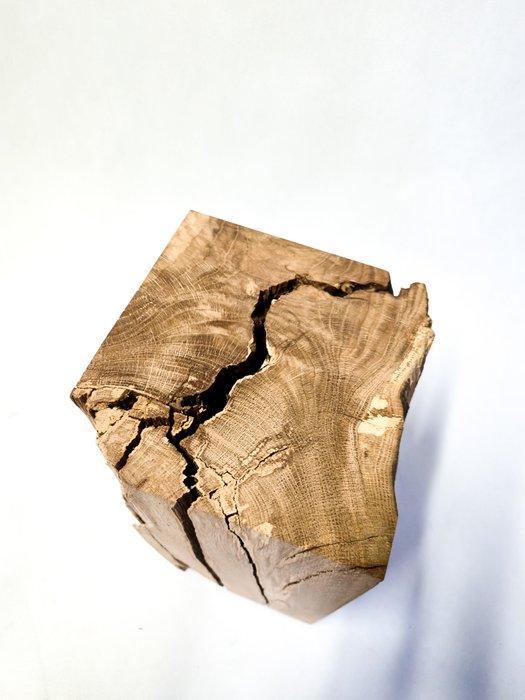THE FOREST - Bijzettafel - Eik - Handgemaakt, Antiek en Kunst, Curiosa en Brocante