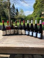 2010 Côtes de Rhône - Rhône - 10 Flessen (0.75 liter), Verzamelen, Nieuw