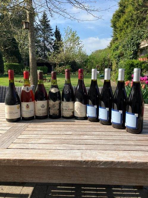 2010 Côtes de Rhône - Rhône - 10 Flessen (0.75 liter), Verzamelen, Wijnen