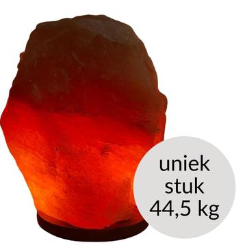 Himalaya Zoutlamp (roze kleur, 44,5 kg) - uniek stuk beschikbaar voor biedingen