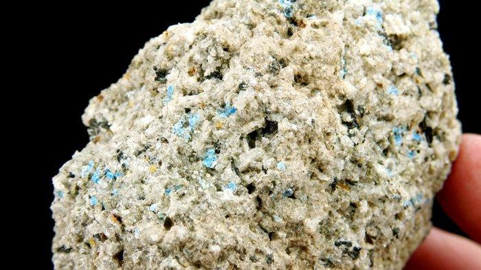 Haüyne, Hornblende, Augiet Eifel Vulkaanbergen, Duitsland -, Verzamelen, Mineralen en Fossielen