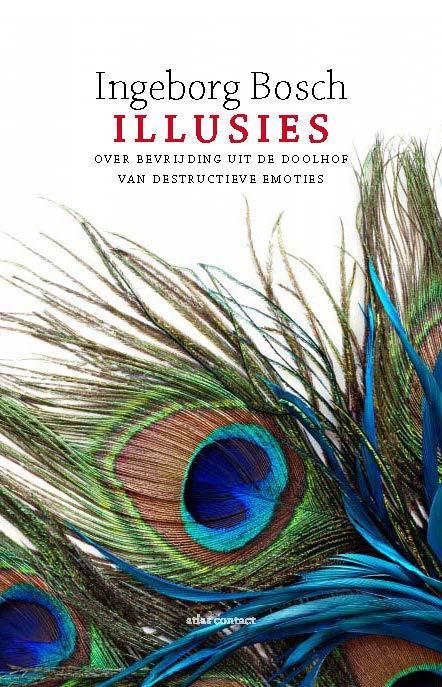 Illusies 9789045029825 Ingeborg Bosch, Boeken, Psychologie, Gelezen, Verzenden