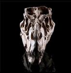 Réplique du crâne de tyrannosaure - Monture pour réplique, Verzamelen, Nieuw