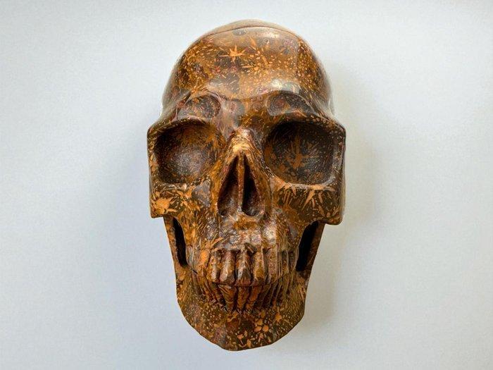 Star Burst Jasper museumkwaliteit Gesneden schedel - jasper, Antiek en Kunst, Curiosa en Brocante