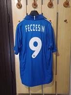 Brescia - Italiaanse voetbal competitie - Róbert Feczesin -