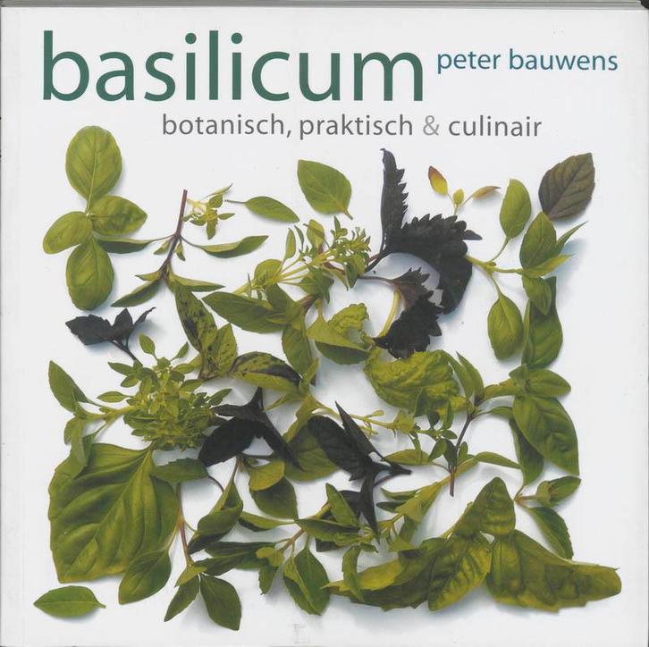 Basilicum 9789058975256 P. Bauwens, Boeken, Hobby en Vrije tijd, Zo goed als nieuw, Verzenden