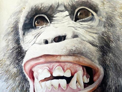 Pablo Fernandez Pujol - big monkey II - XXL, Antiek en Kunst, Kunst | Schilderijen | Modern