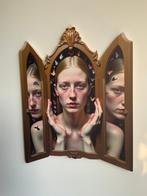 Francien Krieg - Through the Looking Panels