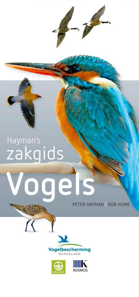 Vogels / Haymans Zakgids 9789021564913 Peter Hayman, Boeken, Hobby en Vrije tijd, Zo goed als nieuw, Verzenden