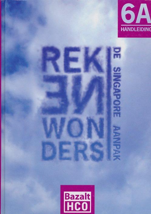Rekenwonders Handleiding 6A, Boeken, Schoolboeken, Verzenden