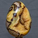 Septaria Wild Yellow Crystals Fine Large Wild Septaria