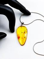 Collier rare en ambre miel – Double fossile FOSSIL FLIES –