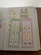 Japon 2017/2018 - Belle affaire.