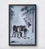 Anita Csapó - Reindeer