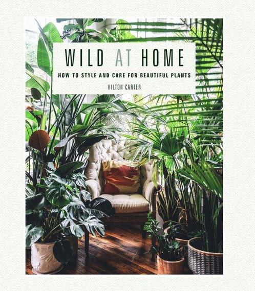 Wild at Home 9781782497134, Livres, Livres Autre, Envoi