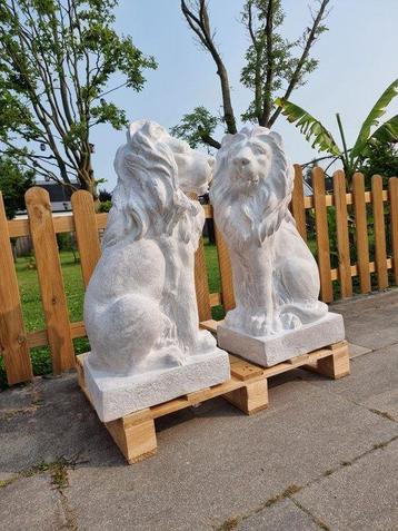 Beeld, Large Set Lions - New - 75 cm - mgo / polystone