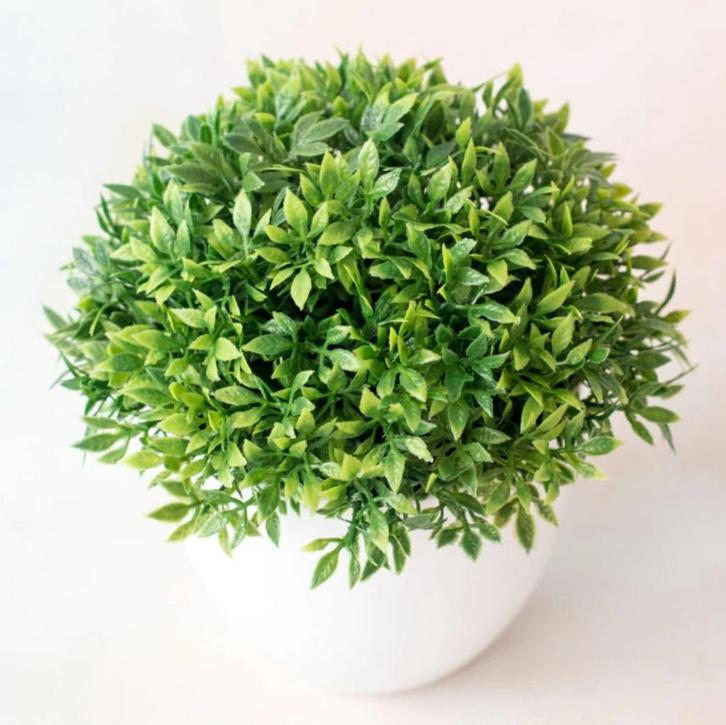 Kunst Bonsai Boom - Planten Nep Plant Plastic Decoratie, Huis en Inrichting, Woonaccessoires | Kunstplanten en Kunstbloemen, Nieuw