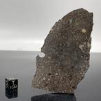 EERSTE meteoriet ter wereld geclassificeerd door NAGJIR,