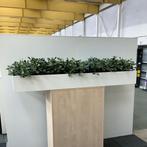 Plantenbak met kunstplanten, (bxd) 180x45 cm, MDF-wit