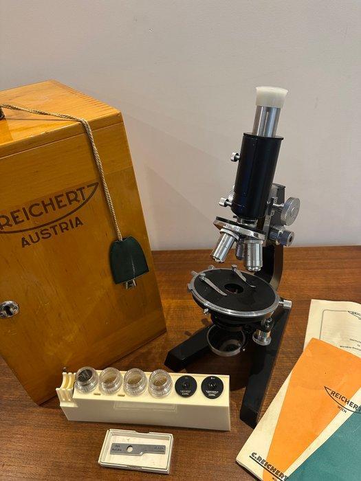 Reichert Austria microscoop met 3 optieken - Model. 276239 -, Verzamelen, Foto-apparatuur en Filmapparatuur