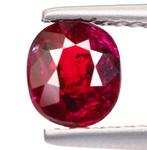 Zonder Minimumprijs Robijn  - 1.22 ct - Bellerophon Gemlab -, Handtassen en Accessoires, Edelstenen, Nieuw