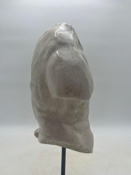 Sculpture, Torso Gaddi - 36 cm - poudre de marbre, Antiek en Kunst, Curiosa en Brocante