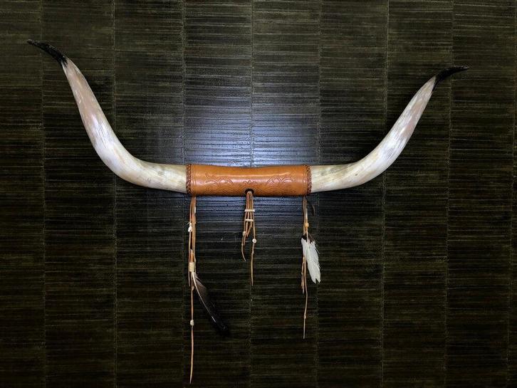 Hoorns Taxidermie Opgezette Dieren By Max, Verzamelen, Dierenverzamelingen, Opgezet dier, Nieuw, Wild dier, Ophalen of Verzenden