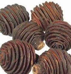 Platyspernum zak 1 kilo voordeelverpakking, Huis en Inrichting, Woonaccessoires | Kunstplanten en Kunstbloemen, Nieuw