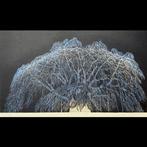 Tanaka Yoshikazu (1933) - Shidarezakura B ver. Blue, Antiek en Kunst