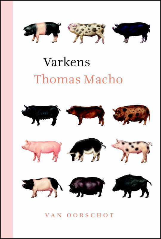 Varkens 9789028280236 Thomas Macho, Boeken, Hobby en Vrije tijd, Zo goed als nieuw, Verzenden