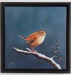 John Bijl (1951) - Winterkoning op een tak