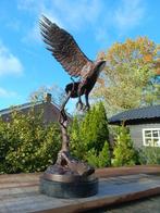 turner - Statue, adelaar in vlucht - 50 cm - marbre bronze, Antiek en Kunst