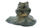 Pierre Chenet (XX-XXI) - Sculpture, Toad on a Rock - 5 cm -, Antiek en Kunst