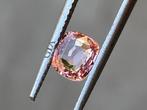 1 pcs  Roze Saffier  - 1.06 ct - GIA, Nieuw