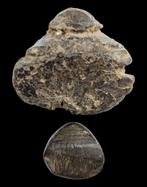 Indonesië, Maleisië, Maleisisch schiereiland. Pre coinage, Postzegels en Munten