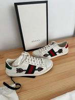 Gucci - Ace - Sneakers - Taille : EU 36.5, Nieuw