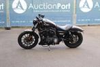 Veiling: Harley-Davidson Sportster 883N Iron Benzine 2014, Motoren, Motoren | Harley-Davidson