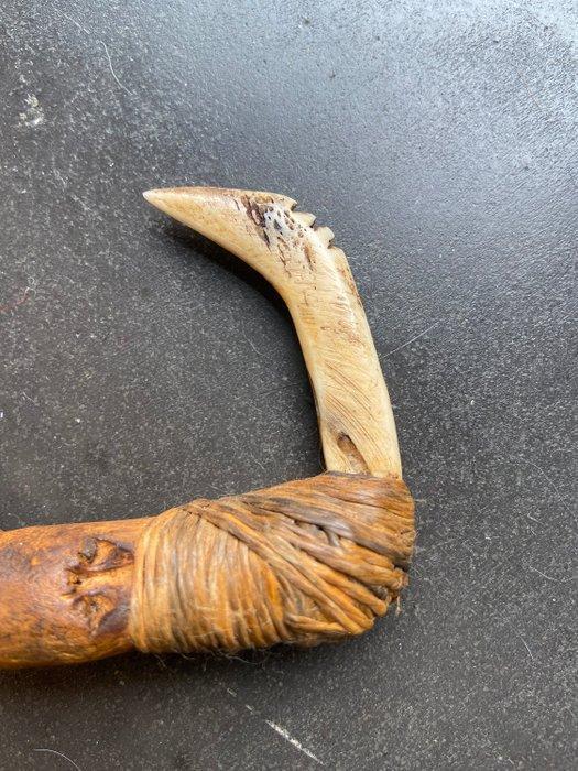 Maori-haak - Maori - Nieuw-Zeeland (Zonder minimumprijs), Antiek en Kunst, Kunst | Niet-Westerse kunst