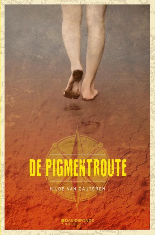 De pigmentroute 9789059085367 Hilde Van Cauteren, Livres, Livres pour enfants | Jeunesse | 13 ans et plus, Envoi