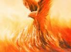 Adam Burczyc - Phoenix