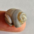 Bactrisch of Sino-Siberisch Natuurlijk bandagaat XXS Kikker, Antiek en Kunst