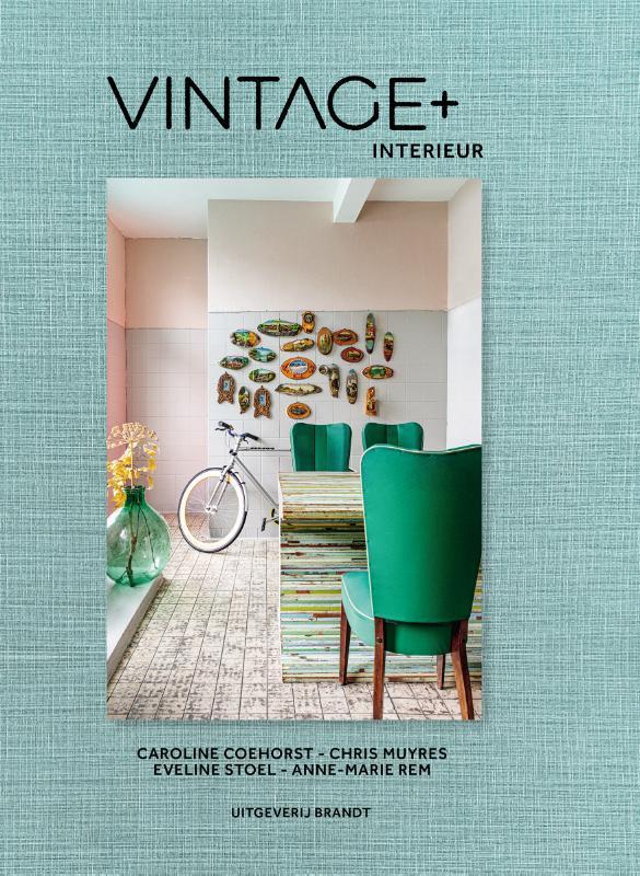Vintage + interieur 9789493095731 Eveline Stoel, Boeken, Hobby en Vrije tijd, Zo goed als nieuw, Verzenden