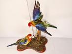 Ensemble de perruches Rosella (mâle et femelle) Support de, Nieuw
