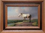 Nederlandse school (XIX) - Horse in cast landscape, Antiek en Kunst