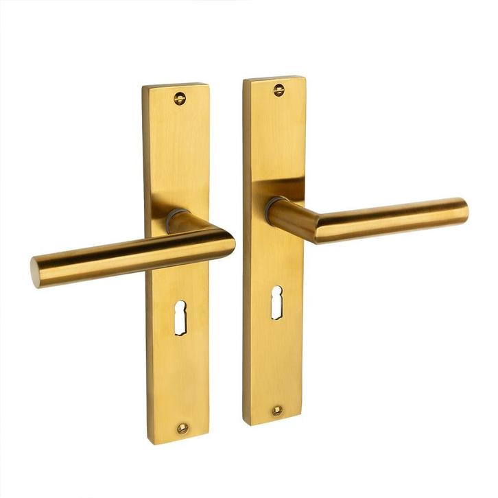 Ferro geveerd op schild sleutelgat 55mm mat messing - deu..., Doe-het-zelf en Bouw, Hang- en Sluitwerk, Klink of Kruk, Nieuw, IJzer