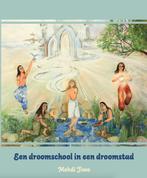 Een droomschool in een droomstad 9789492421319, Verzenden, Mehdi Jiwa