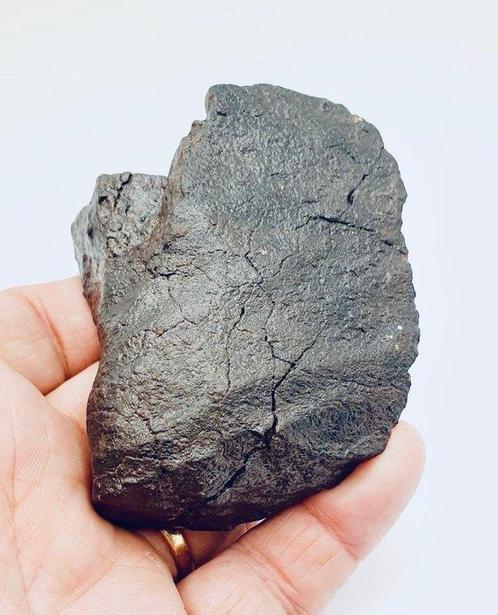 Chondrite Météorite de Chondrite - 80×65×30 mm - 241 g - (1), Collections, Minéraux & Fossiles